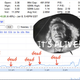 Illustration for article titled Palm Stock Jumps 34.85% On Palm Pre News